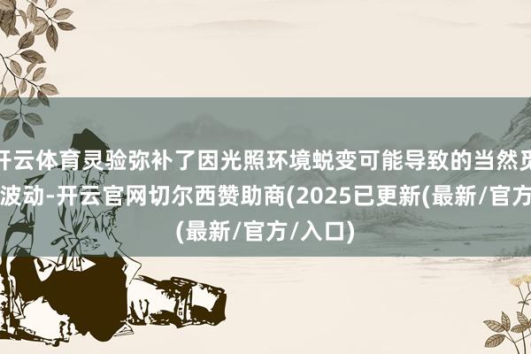 开云体育灵验弥补了因光照环境蜕变可能导致的当然觅食成果波动-开云官网切尔西赞助商(2025已更新(最新/官方/入口)