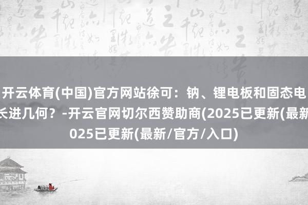 开云体育(中国)官方网站徐可：钠、锂电板和固态电的划分多大 长进几何？-开云官网切尔西赞助商(2025已更新(最新/官方/入口)