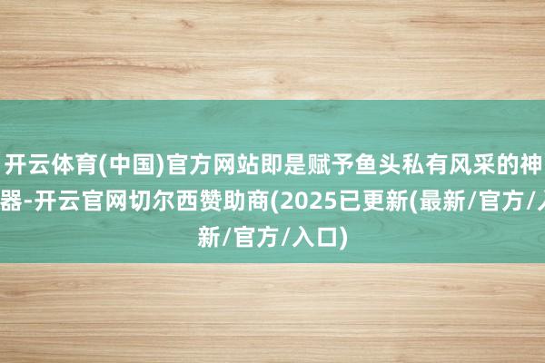 开云体育(中国)官方网站即是赋予鱼头私有风采的神秘火器-开云官网切尔西赞助商(2025已更新(最新/官方/入口)